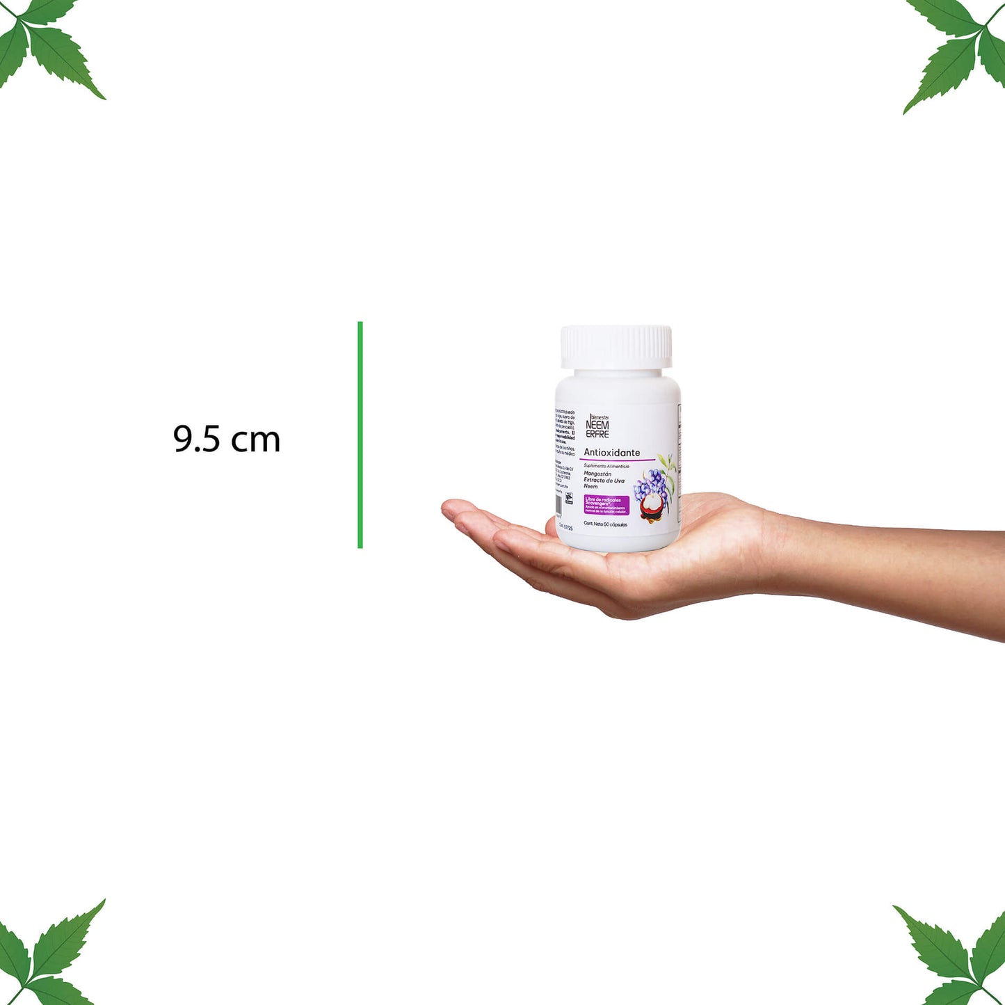 Cápsulas Antioxidantes de Mangostan + Extracto de uva + NEEM