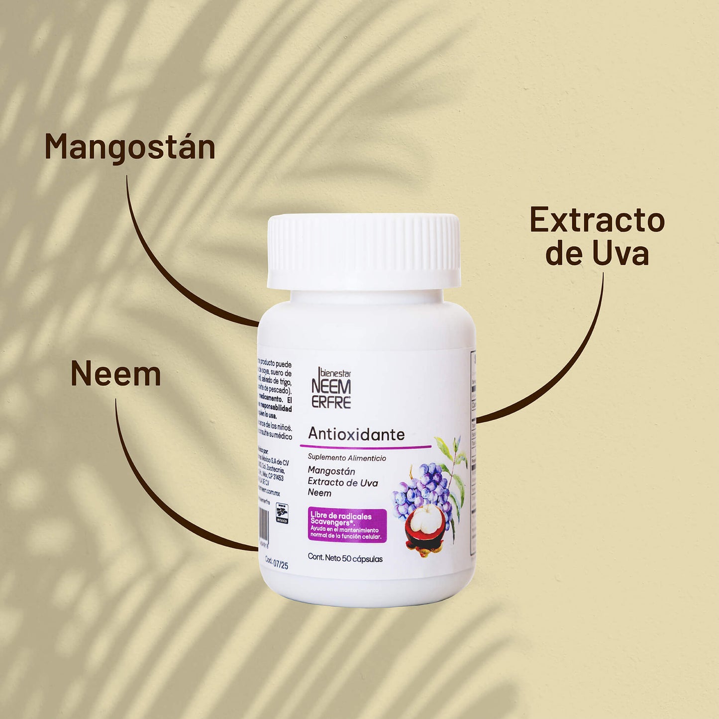 Cápsulas Antioxidantes de Mangostan + Extracto de uva + NEEM