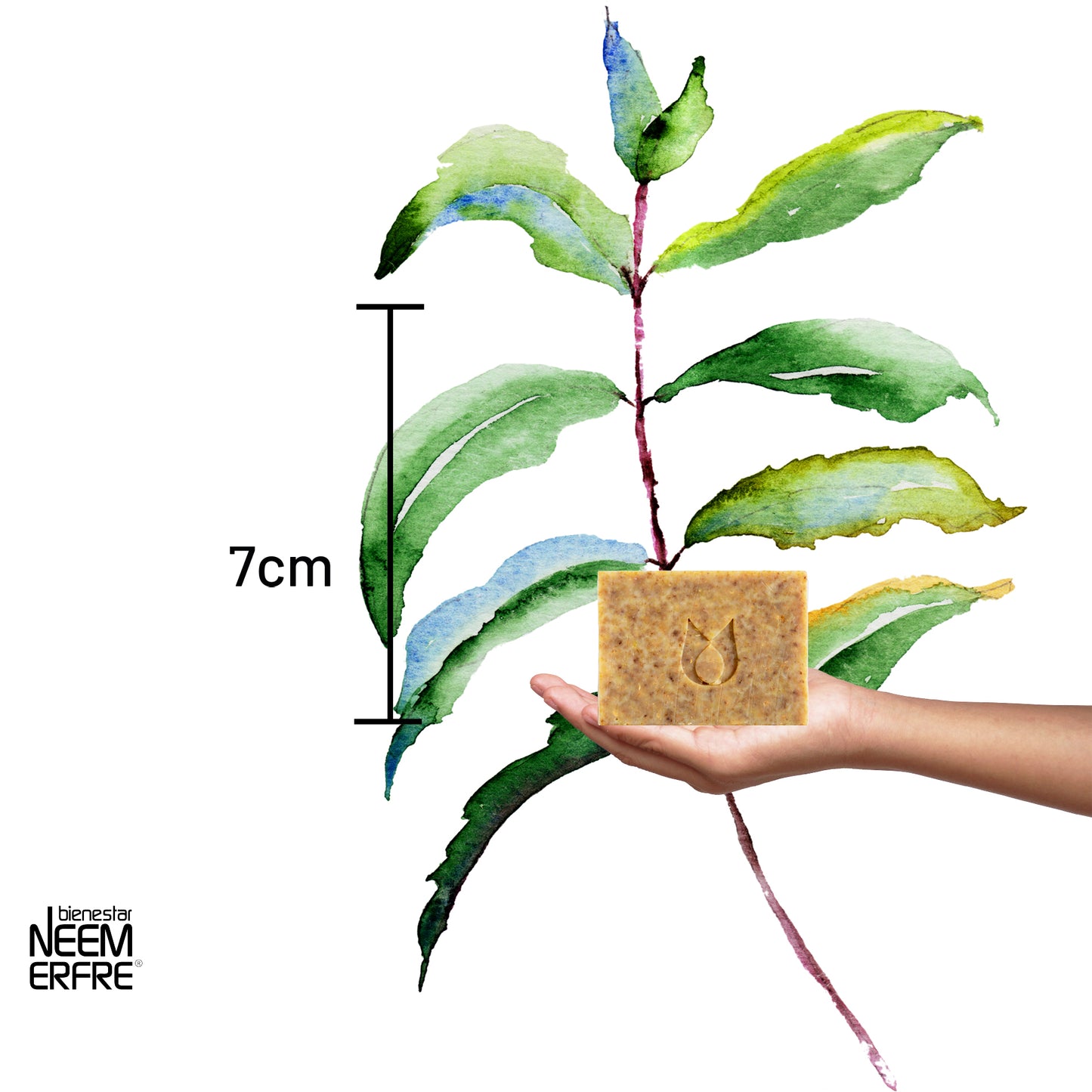 Jabón natural de caléndula y miel