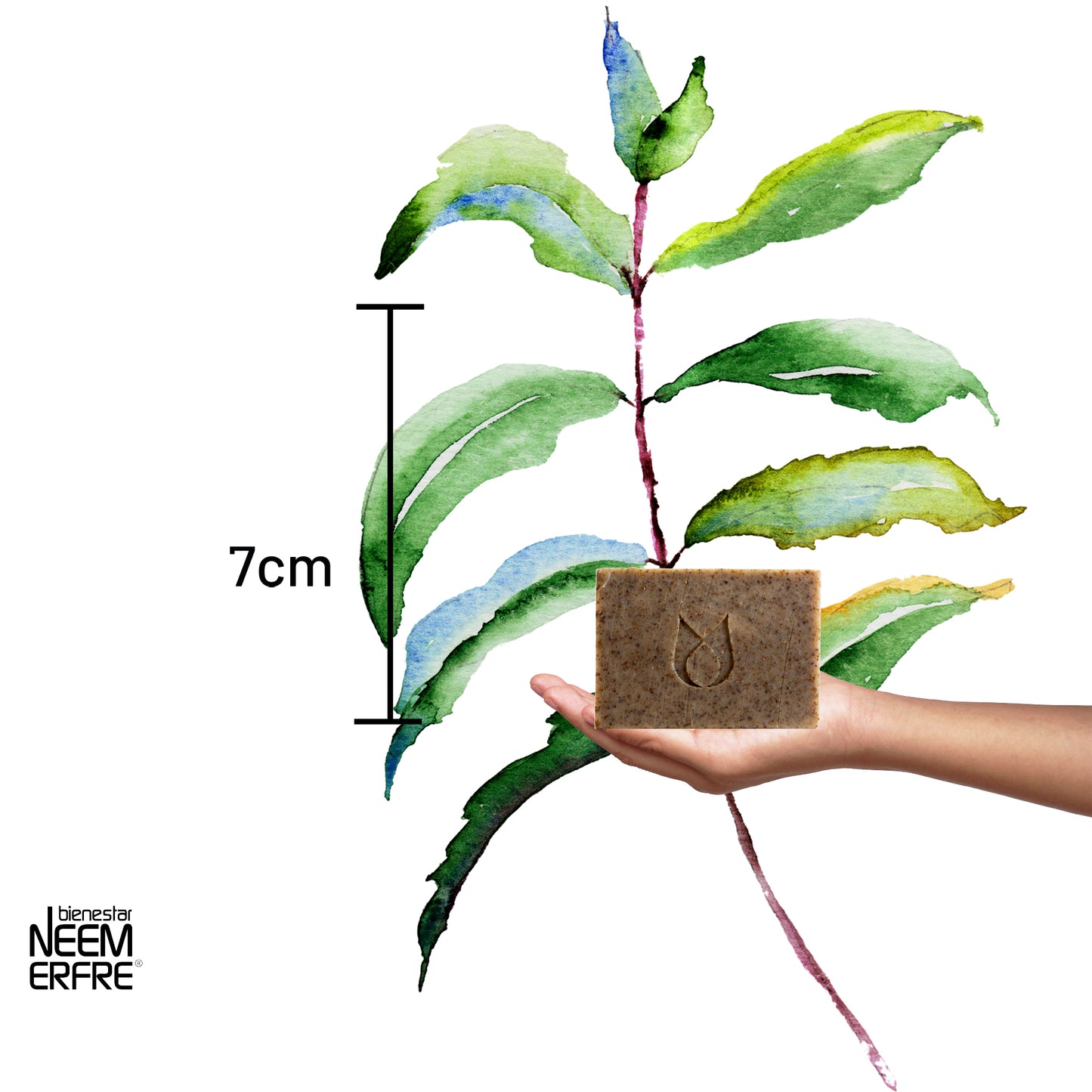 Jabón natural de romero