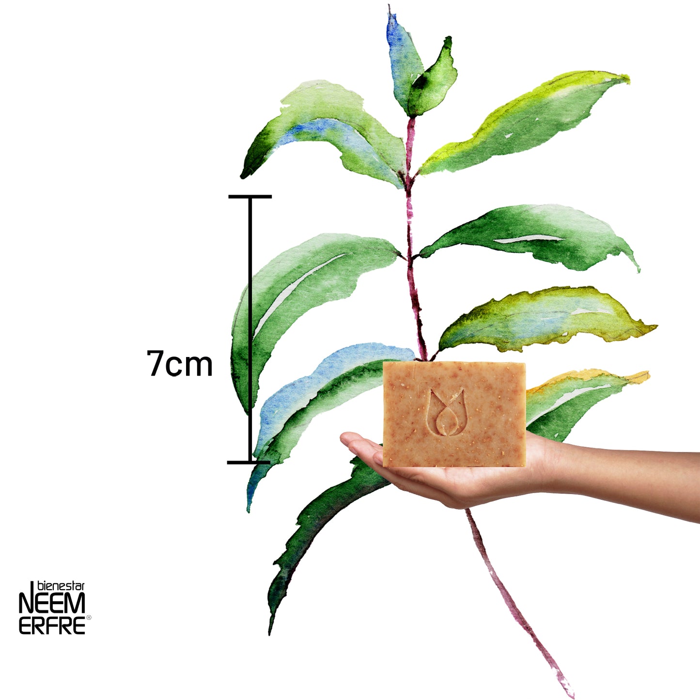 Jabón natural de toronja