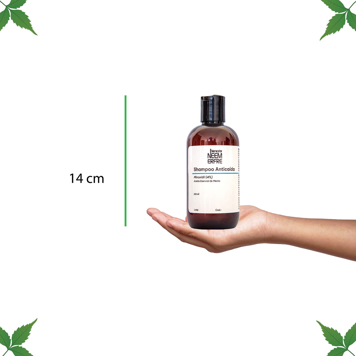 Shampoo minoxidil al 4%